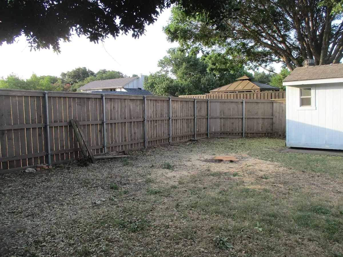 Cleared yard after professional tree removal in South Plainfield