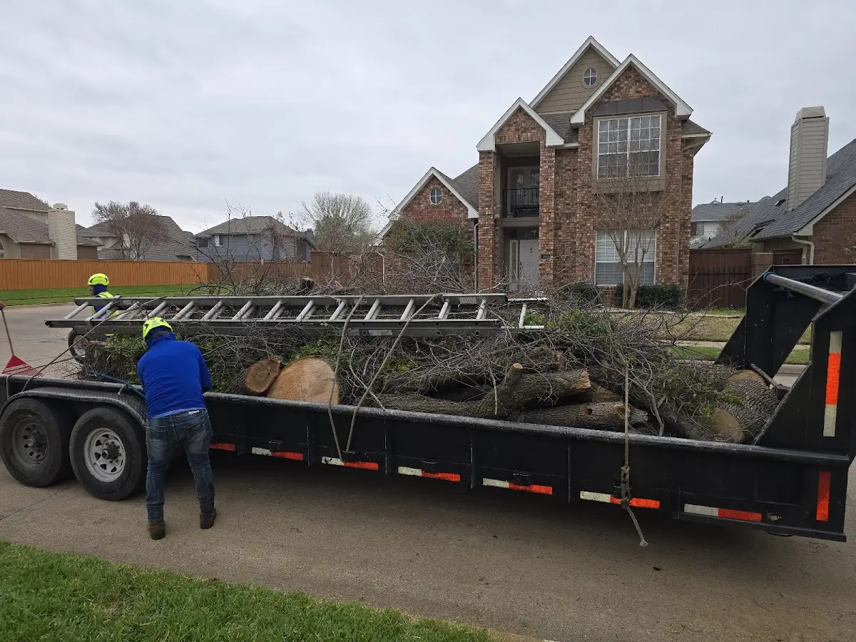 Expert Tree Pest Control with proper safety equipment in South Plainfield